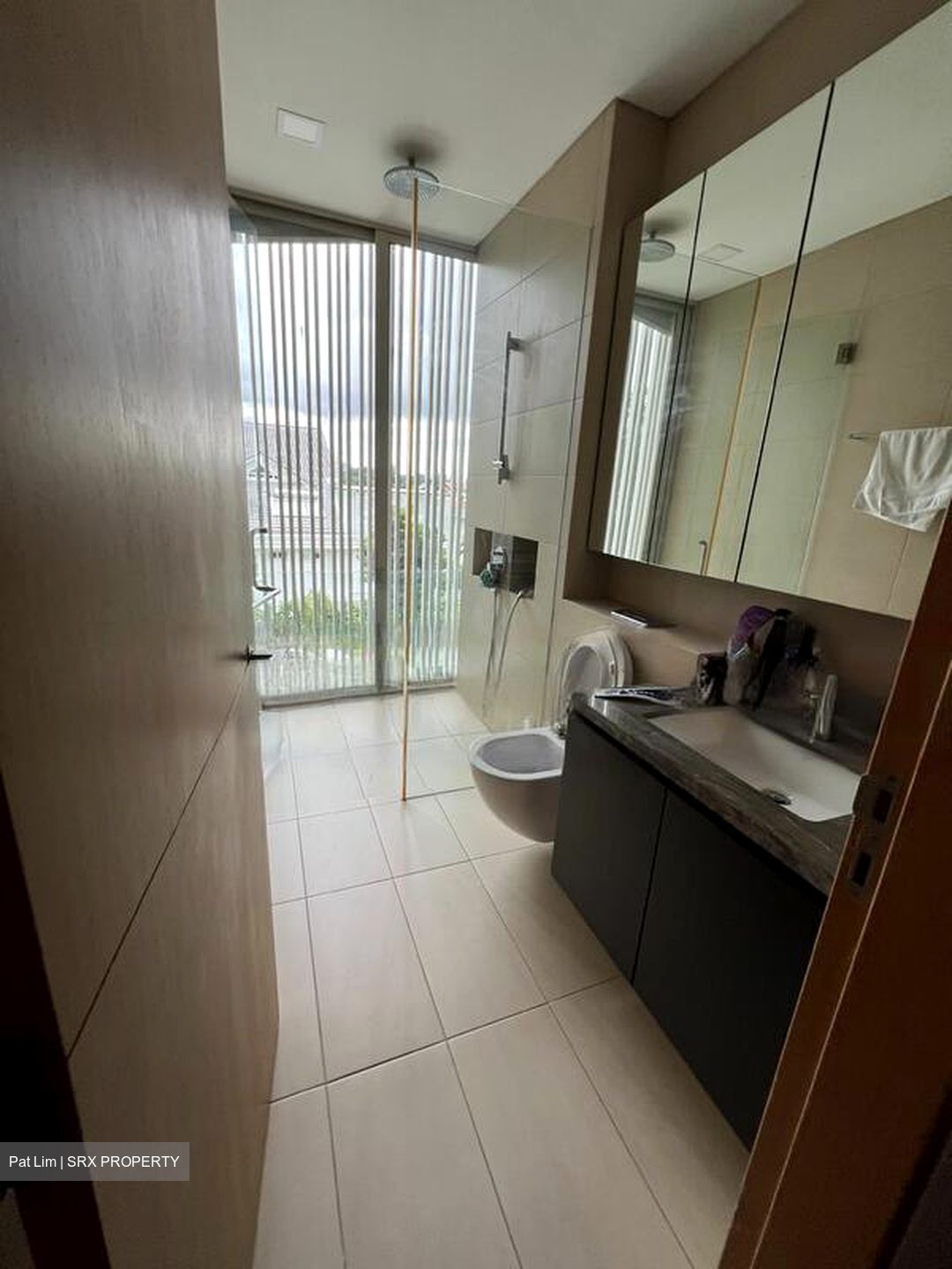 Raffles Park (D11), Detached #453038841